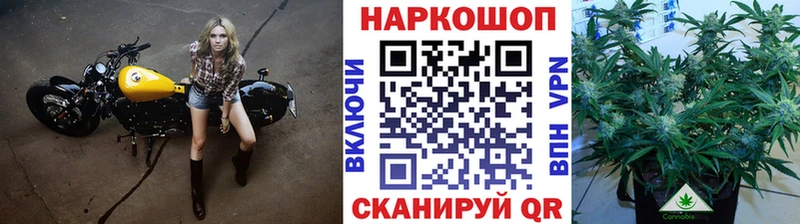 Сколько стоит Белокуриха КОКАИН А ПВП МЕФ АМФ Каннабис ГАШИШ