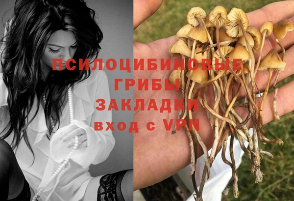 мет Кострома